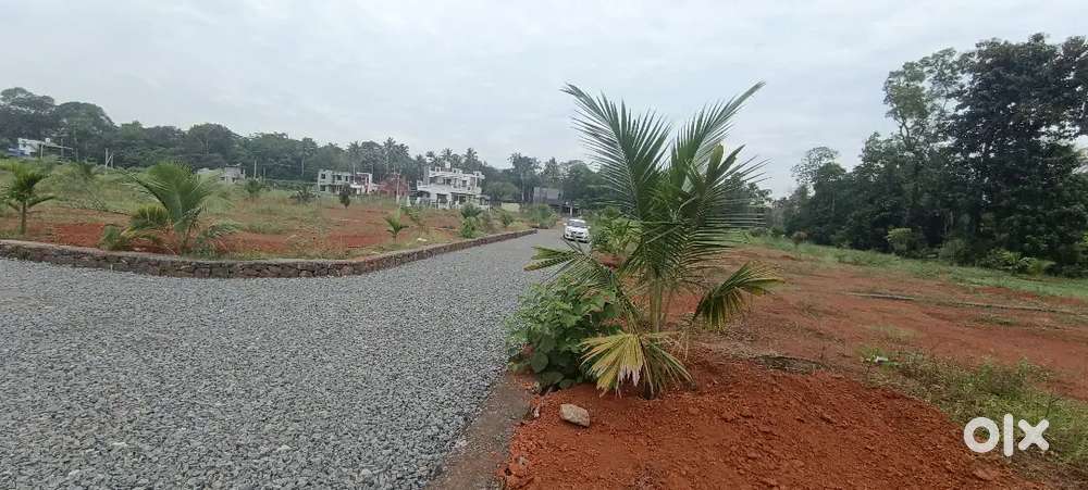 ANGAMALY APPOLLO HOSPITAL NEAR BY 4,5,8, 10, 20 CENT PLOTS AVAILABLE