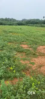 Best investment for future in kanyakumari 100 feet Road