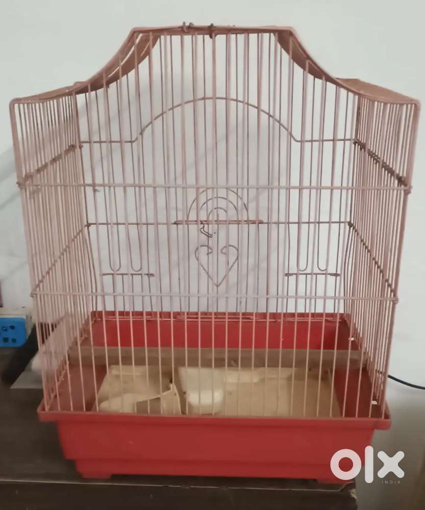Bird cage(pinjra)