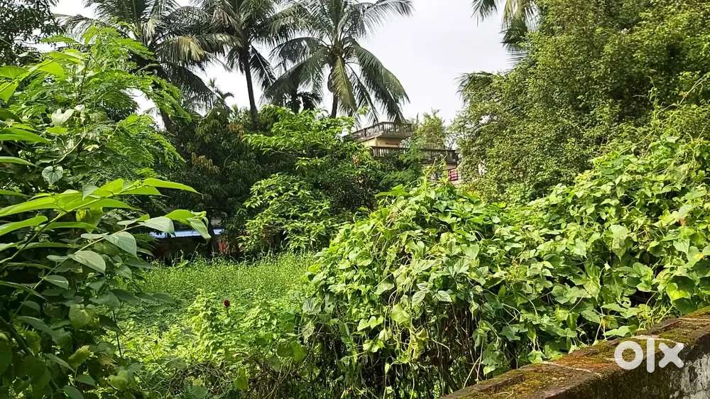 2600-5400 sq ft LAND FOR SALE