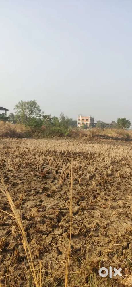 . Double Your Investment with Open Plots in Developing Zones!