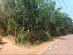 10 cents and 35 cents road side land plot for sale kadaba