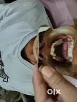 Dental Clinic