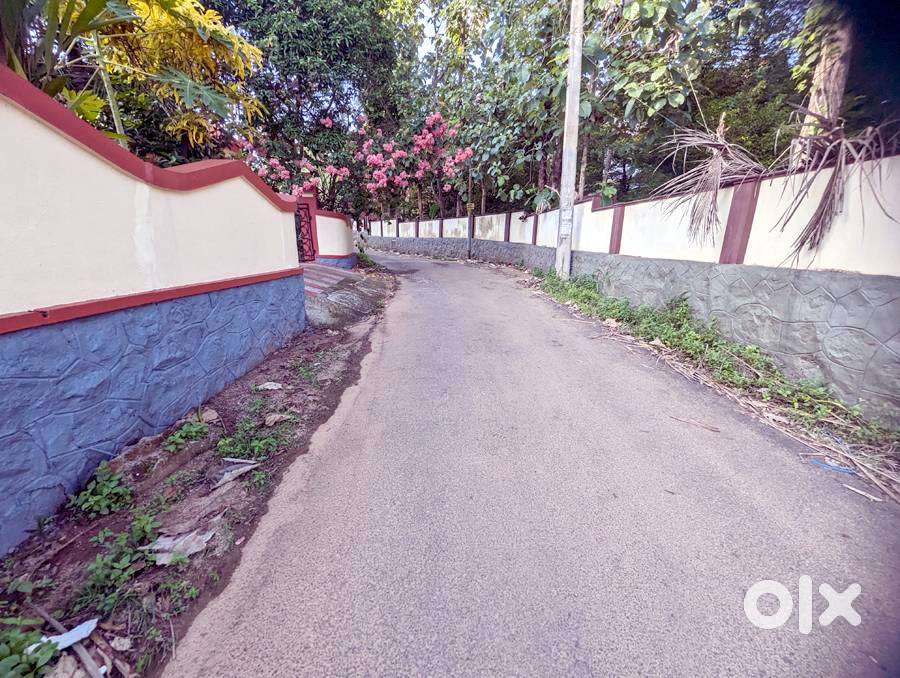 House plot 9.5 cent near MC road Caritas 5 lakh/cent