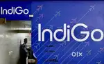 Cabin crew/Airport Ground Staff Jobs in Indigo limited vacancy Apply