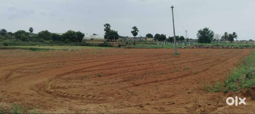 Farm Land For Sale