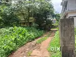 5 cent land for sale near Companypadi Aluva