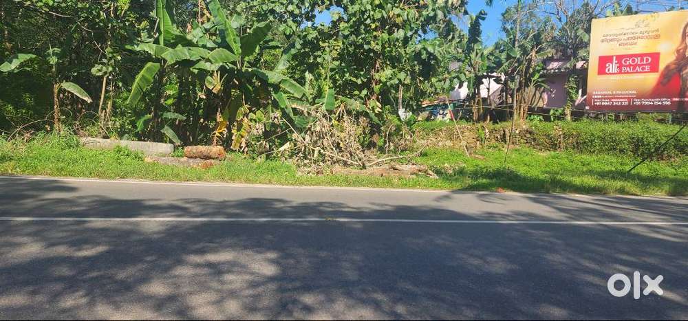 34 Cent prime plot Paripally Madathara Road Nilamel Kilimanoor Kollam