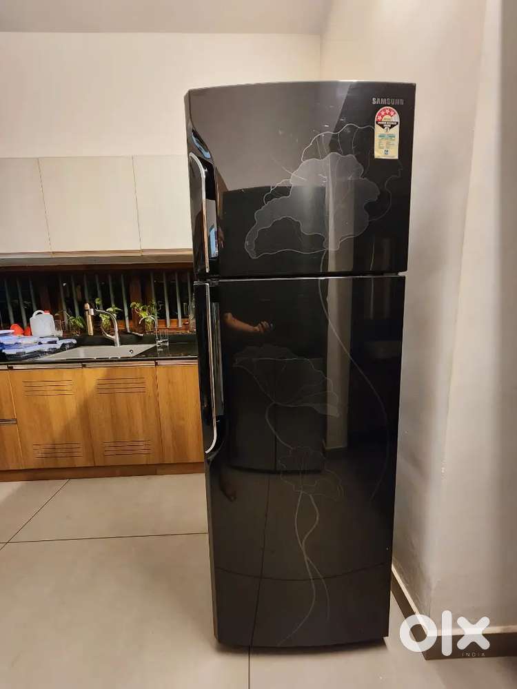 Samsung Double Door Refrigerator (303 L)