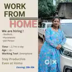 Online work opportunity