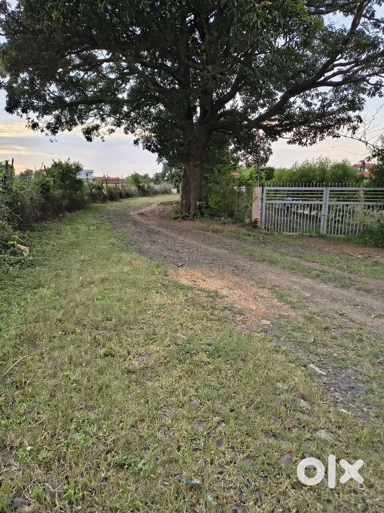 3.25 acre land for 85 lakh only near karhandla jungle