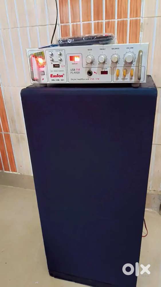Eston Emplifier with speaker