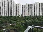 1 bhk open view flat available for rent!!!