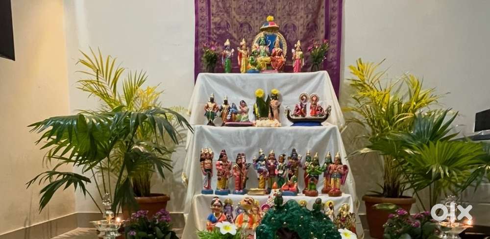 Decorative Indoor plant