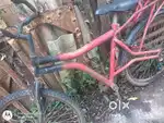 Hercules cycle
