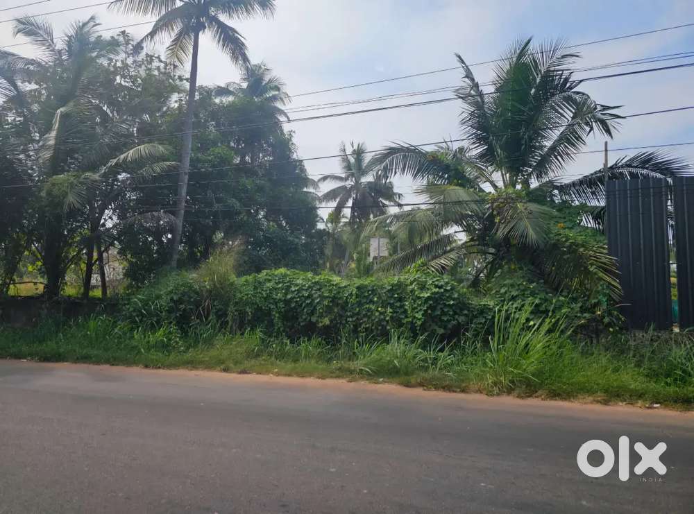 29 CENT - KANNUR TO ALAVIL - MAIN ROAD FRONTAGE - 9 LAKH PER CENT