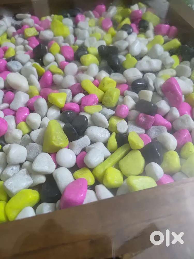 House for Rent near Nadakkavu