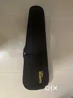 Violin Instrument Musical
