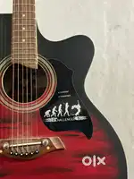 acoustic guitar
