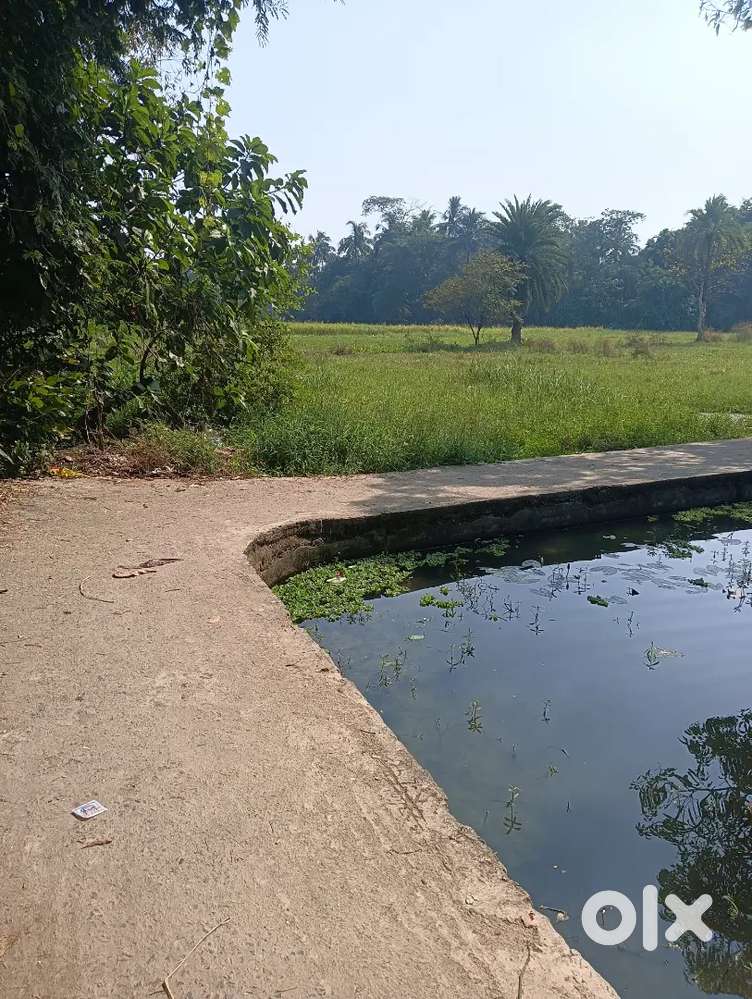 5 kata jola road side 1st jola tai sell ache