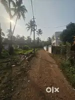 14 cent Housing Plot at Pallichal Oliyangara juma masjid