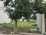 Residential Plot for Sale – Singapore Gold City 1, Bypass Road, Indore