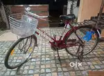Stryder cycle