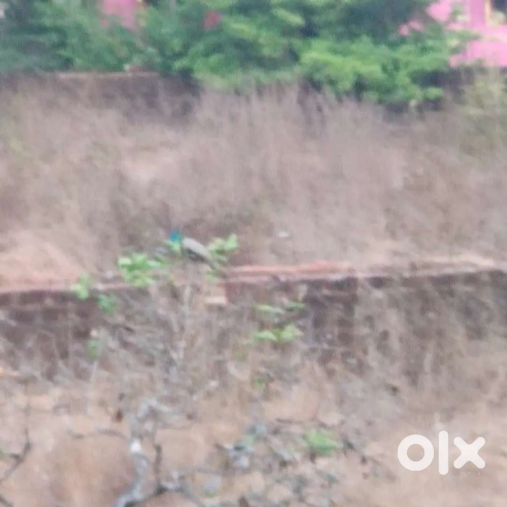Ankola land for sale - suitable for hotels, apartment