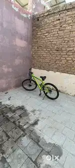 Phoenix brand cycle