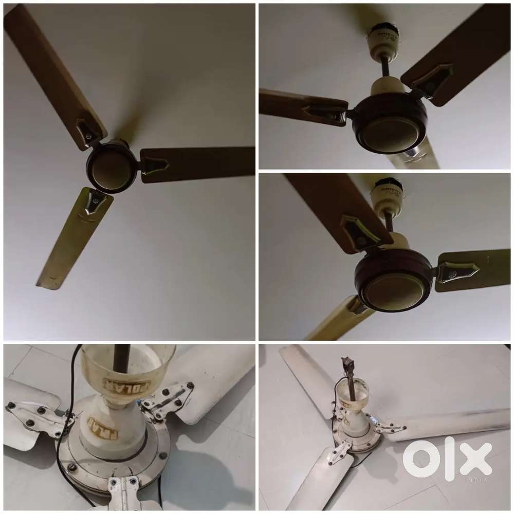 Ceiling Fan for Sell