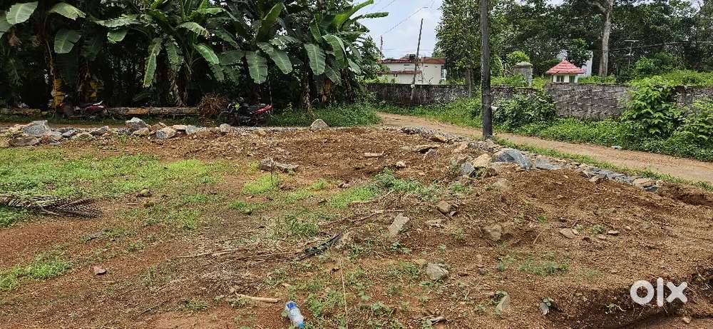 6, 10, 15 cent house plot near Pattithanam jn price starts 2.5 lak