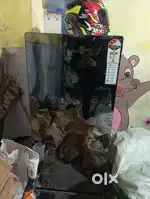 Haier best condition