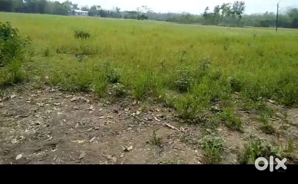 4 bigha miyadipota mati 15lakh per katha