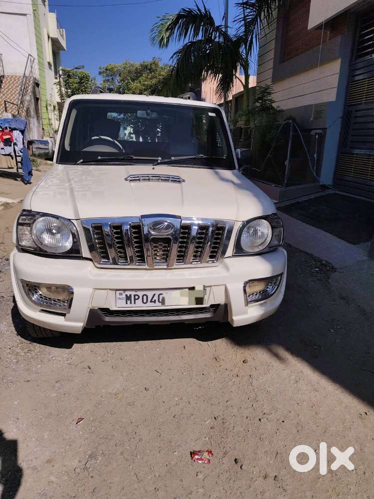 Urgent Recurring freshers Females