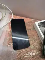 13 pro max metallic grey