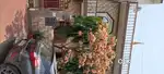 Two Bedroom Accommodation, Near chiranjeev Bharti school, Ashiana