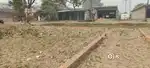 Devlopment