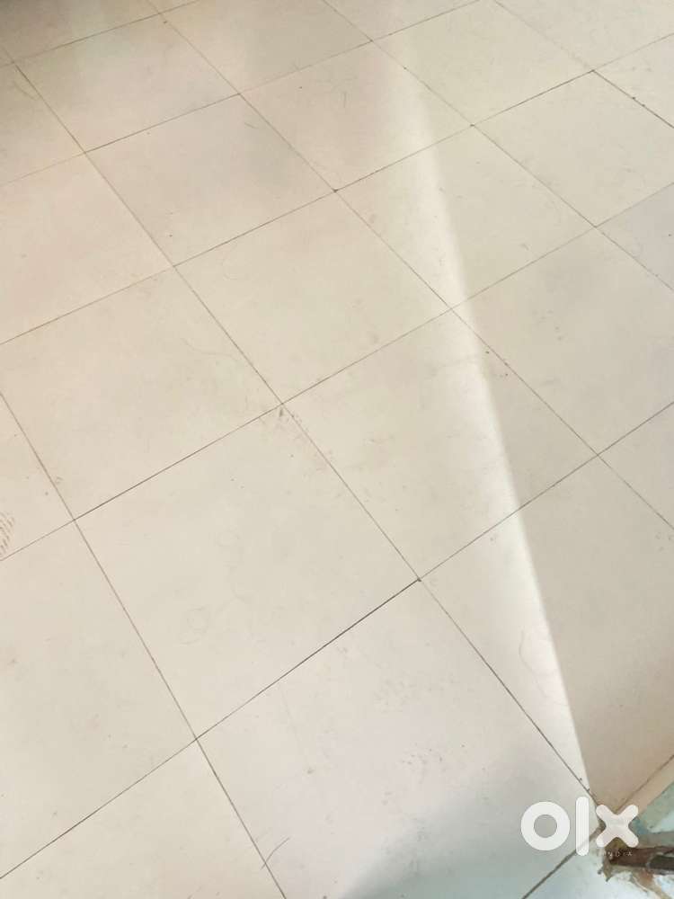 Need a girl roommate