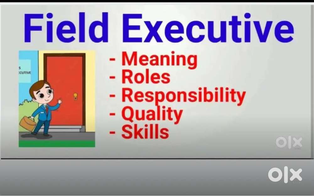 Field executive  and team leader credit card collection