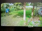 Corner plot 1.5 biswa plot at shivpur basudevpur