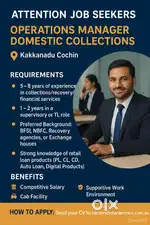 Operation Manager - Domestic collection