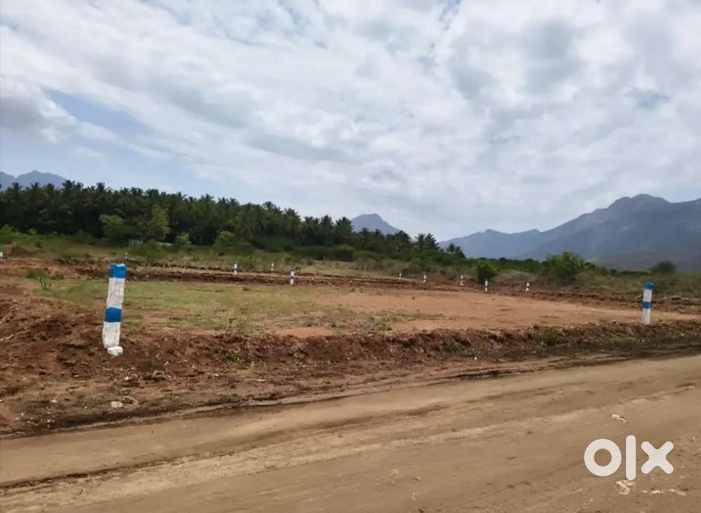 pannimadai  Avinash Lingam college near 26 cent per cent 2.65 lakhs