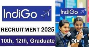 Urgent hiring apply fast male and female both .
