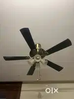 Crompton  Cealing Fan with facny lights