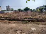 MUDA site 30*40