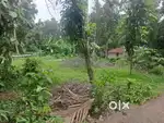 Plot for sale