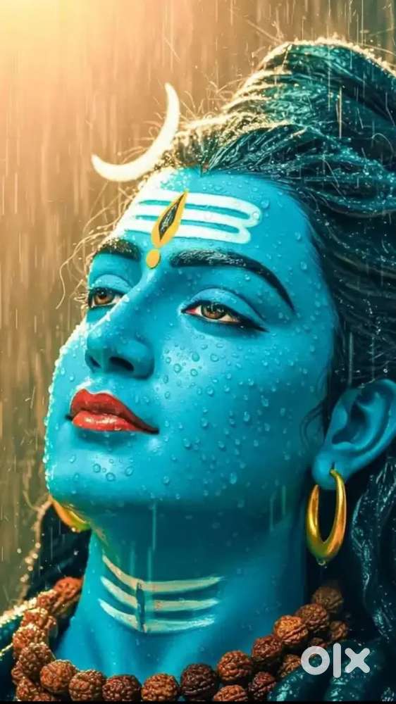 Tatibandh hirapur me 1bhk flat rent se dena hai